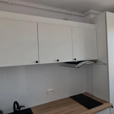 Daire Premium Skyline With Free Parking & Panoramic View Bükreş