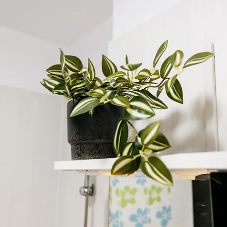 Premium Skyline With Free Parking & Panoramic View Apartment *