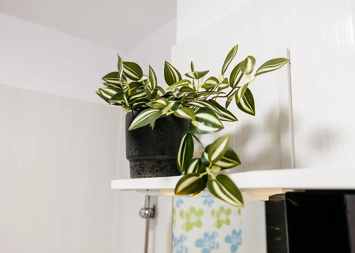 Premium Skyline With Free Parking & Panoramic View Lägenhet *